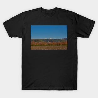 Jechtingen, Kaiserstuhl, Germany T-Shirt